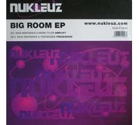Nick Sentience - Big Room Ep Vol.2