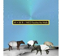 Nico Touches the Walls - Aurora [CD+Dvd Ltd. ed. ]