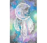 Nicole - Kit per pittura con diamanti fai da te, acchiappasogni 5D Full Trapano Diamond Painting per la casa, la parete e l'ingresso (30 x 40 cm)