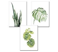 Nicole Knupfer - Stampe artistiche stile pop vintage, motivo botanico con piante verdi e fogliame, set di 3 poster da parete (B, 30 x 40 cm)