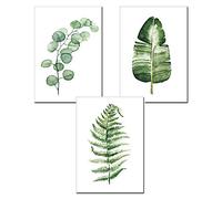Nicole Knupfer - Stampe artistiche stile pop vintage, motivo botanico con piante verdi e fogliame, set di 3 poster da parete (A, 30 x 40 cm)