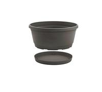 Nicoli 33 A20T Origine Essential iniezione stampaggio Ciotola Rumba Completo, Tortora, 20 cm
