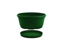 Nicoli 33 A22 V Origine Essential iniezione stampaggio Ciotola Rumba Completo, Verde, 22 cm