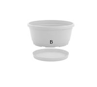 Nicoli 33 A25B Origine Essential iniezione stampaggio Ciotola Rumba Completo, Bianco, 25 cm