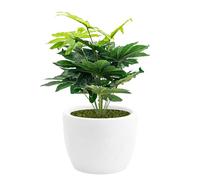 Nicoli Vaso Hera Matt in resina opaca per interni ed esterni, design moderno resistente a urti e raggi UV, ideale come vaso decorativo da giardino o terrazzo, Ø 30 cm, Con Aralia 70 cm - BIANCO