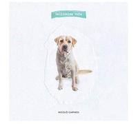 Nicolò Carnesi - Bellissima Noia