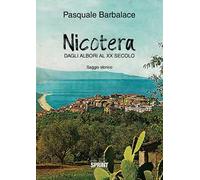 Nicotera. Dagli albori al XX secolo