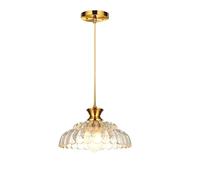 NICRX Lampada a Sospensione in Vetro Vintage,Ambra Paralume in vetro a forma di petalo,Finitura Oro Spazzolato,E27 Altezza Regolabile Plafoniera per Sala da Pranzo,Cucina,Soggiorno,Camera da (30cm)