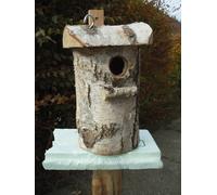 Nido Betulla Massiccio 17cm Altezza Radice Star Cincia Nr.32 Arboreo Foro Ø 30mm