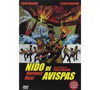 Nido de avispas