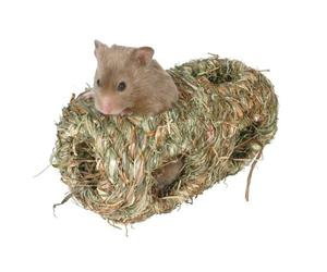 Nido d'erba ø 10 × 19 cm