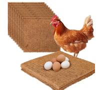Nido di Pollo, 33 X 33 Cm, Fodera per Nido di Pollo in Plastica Lavabile, Nido per Pollo, Nido per Pollo, Tappetino in Plastica, Fodera per Lettiera per Pollaio, Tappetino per Nidificazione(10 pezzi)