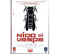 Nido Di Vespe