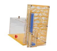 Nido per formiche fai da te, gabbia per formiche la giornata dei bambini,