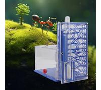 Nido per formiche fai da te, gabbia per formiche la giornata dei bambini,