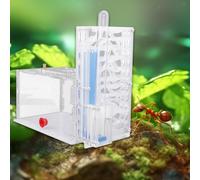 Nido per formiche in acrilico trasparente compatto con mangiatoia per imparare