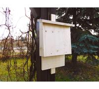Nido Pipistrelli Finito Montiertüberwinterungshilfe Tutto L'Anno Bewohnbar
