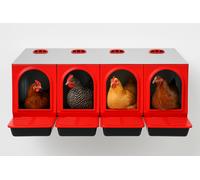 NIDO QUADRIFAMILIARE PER GALLINE OVAIOLE - PER UOVA DA INCUBATRICE - ORIGINALE