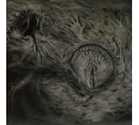 Nidsang Into the Womb of Dissolving Flames (Vinyl LP) 12" Album