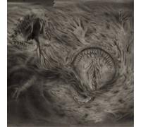 Nidsang Into the Womb of Dissolving Flames (Vinyl LP) 12" Album