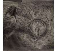 Nidsang Into the Womb of Dissolving Flames (Vinyl LP) 12" Album