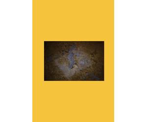 Niebla by Miguel de Unamuno: Niebla