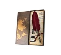 NIEI Set di penne a piuma e inchiostro, stile vintage, penna a immersione per scrittura e calligrafia, regalo per principianti
