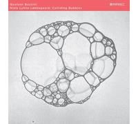 Niels Lyhne Løkkegaard Colliding Bubbles (CD) Album