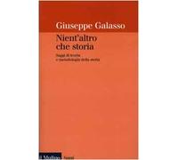 Nient'altro che storia. Saggi di teoria e metodologia della storia