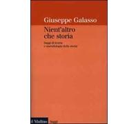 Nient'altro che storia. Saggi di teoria e metodologia della storia