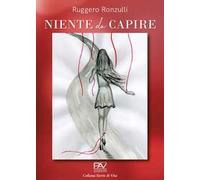 Niente da capire