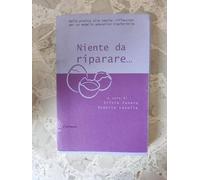 Niente da riparare. Dalla pratica alla teoria: riflessioni per un modello educativo trasferibile