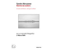 Niente da vedere. Cronaca dal Polesine e altri spazi sconfinati - Abruzzes...