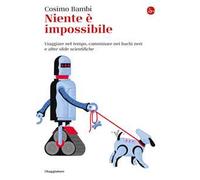 Niente è impossibile. Viaggiare nel tempo, camminare nei buchi neri e altre sfide scientifiche