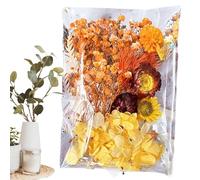 Niesel Artigianato di fiori secchi, artigianato di fiori secchi | artigianali Decorazione di carte di fiori secchi,Diario multiuso, decorazione floreale, fiori secchi per camera da ,