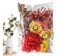 Niesel Pacchetti di fiori secchi, forniture artigianali di fiori secchi, artigianali decorazioni per carte di fiori secchi, diario multiuso, decorazione floreale, fiori secchi per
