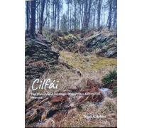 Nigel Robins Cilfái: The History and Heritage Features on Kilvey Hil (Tascabile)