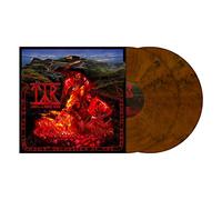 night at the nordic house-Import USA