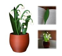 Night Light Lilies-The Lily of The Valley Night Light, 3D Printed LED Reading Lights with Flower Pot, Romantic Whimsical Home Decor Lamp Gifts for Wife Girlfriend Mother
