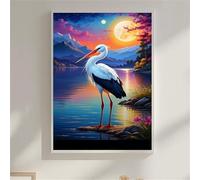 Night Scene 500 Piece Jigsaw Puzzles for Adults, Colourful, Challenging & Brainteasing Adult puzzles 500 Pieces Birds, Fun jigsaws for The Whole Family 20x15 inch