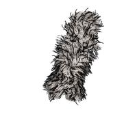 NIGRIN 2 Pezzi di Ricambio in Microfibra per Spazzola per Cerchioni, Senza Graffi, Efficace Pulizia dei Cerchioni, Anche per Punti Difficili da Raggiungere, Multicolore