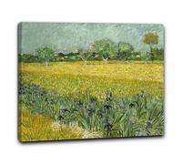 Niik Quadro campo con iris fuori arles di vincent van gogh falso d' autore st...
