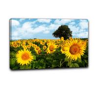 Niik Quadro campo di girasoli 3 falso d' autore stampa su tela