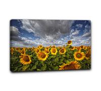 Niik Quadro campo di girasoli 4 falso d' autore stampa su tela