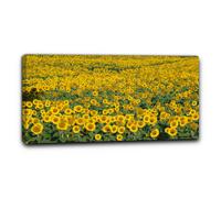 Niik Quadro campo di girasoli 5 falso d' autore stampa su tela