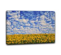 Niik Quadro campo di girasoli 6 falso d' autore stampa su tela