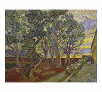 Niik Quadro giardino dell'ospedale saint paul di vincent van gogh falso d' au...