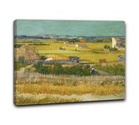 Niik Quadro la vendemmia di vincent van gogh falso d' autore stampa su tela