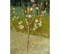 Niik Quadro piccolo mandorlo in fiore di vincent van gogh falso d' autore sta...