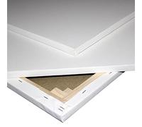 Niik Tele Tela Pittorica in Cotone Trama Fine 60 x 110 x 1,7 cm con Graffe Posteriori da Dipingere per Pittori Pittura Telaio Telato alla Francese, Bianco